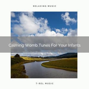 Calming Womb Tunes For Your Infants - White Noise Hour