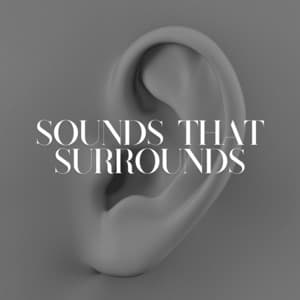 Sounds That Surrounds - Ambient Nature White Noise