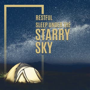 Restful Sleep Under the Starry Sky - Sleep New Age Master