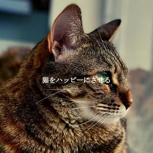 猫をハッピーにさせる - Happy Sunday Morning Music