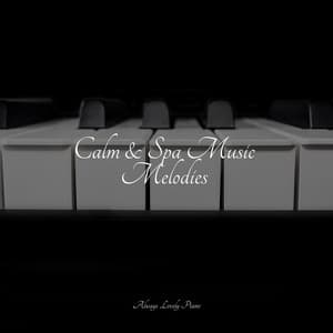 Calm & Spa Music Melodies - Chillout Jazz Collective