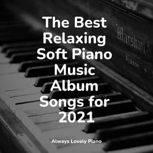 The Best Relaxing Soft Piano Music Album Songs for 2021 - Anti Stress