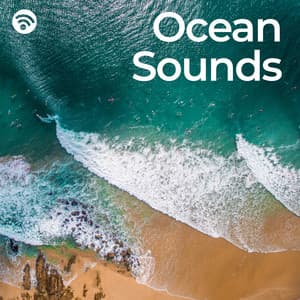 Ocean Sounds - Sleep Recording Sounds
