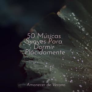 50 Músicas Suaves Para Dormir Plácidamente - Sonido de lluvia