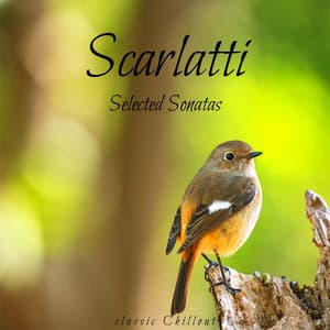 Scarlatti: Selected Sonatas - Domenico Scarlatti