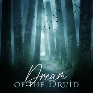 Dream of the Druid: Celtic Music for Deep Sleep & Relaxation, Celtic Peace & Harmony - Celtic Spirituality