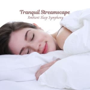 Tranquil Streamscape: Ambient Sleep Symphony - The Water Sleepers