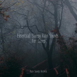 Essential Sleepy Rain Sounds for Sleep - Ocean Sounds
