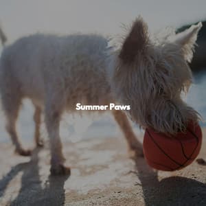 Summer Paws - Coffee House Instrumental Jazz Playlist