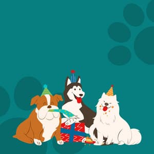 Rhythms of Paws: Music for Pets' Life Journey - Mindvellous