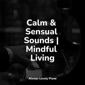 Summer Piano Music for Chilling Out - Concentrate with Classical Piano