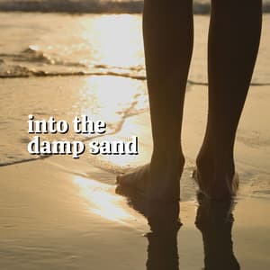 Into the Damp Sand - Calming Waves