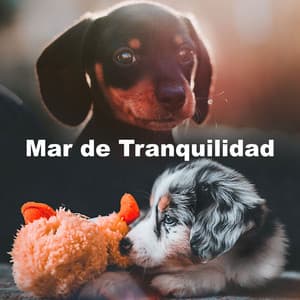 Mar de Tranquilidad - Sueño profundo para niños