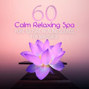 60 Minutes Calm Relaxing Spa - Pure Nature Healing Sounds for Massage, Wellness, Total Relax & Meditation - Day Spa Academy