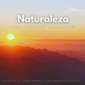 Naturaleza: Sonidos De Un Verano Tranquilo Para Dormir Relajado Vol. 1 - NatuREM