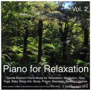 Piano for Relaxation, Vol. 2 - Silentography