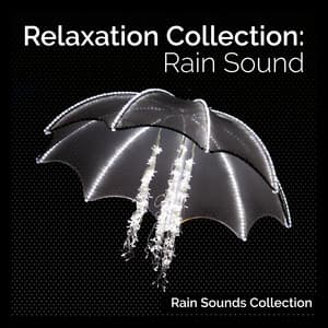 Relaxation Collection: Rain Sound - Rain Sounds Collection