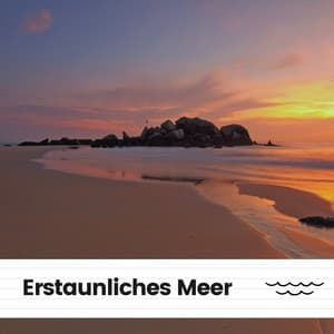 Erstaunliches Meer - Meeresgeräusche