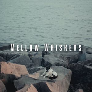 Mellow Whiskers: Chill Music and Oceanic Serenity for Cats - 101 Sea