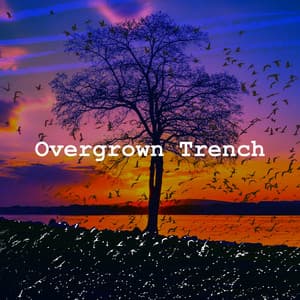 Overgrown Trench - Sound Of The Woods