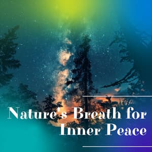 Nature's Breath for Inner Peace - Night Nature Sounds