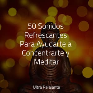 50 Sonidos Refrescantes Para Ayudarte a Concentrarte y Meditar - Piano para Dormir