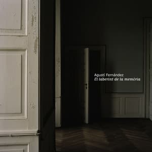 El Laberint de la Memòria - Agustí Fernández