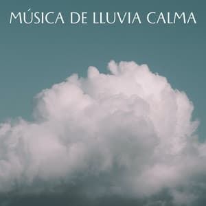 Música De Lluvia Calma - Lluvia Instantánea