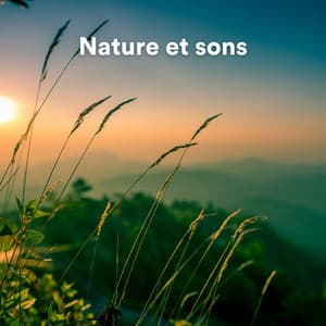 Nature et sons - Sons de la nature
