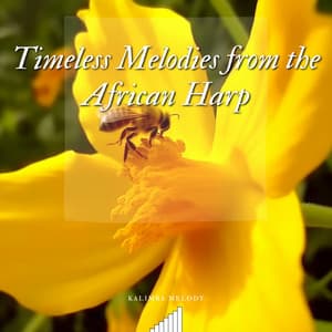 Timeless Melodies from the African Harp - Kalimba Melody
