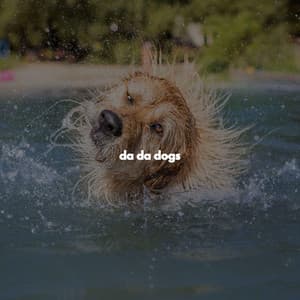da da dogs - Easy Listening Jazz