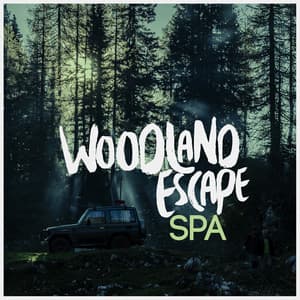 Woodland Escape: Spa - Nature Spa
