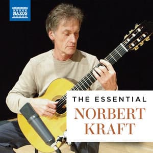 The Essential Norbert Kraft - Norbert Kraft