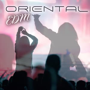 Oriental EDM: Progressive Trance Music of India - Electro Lounge All Stars