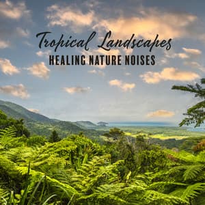 Tropical Landscapes - Deep Peace