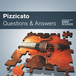 Pizzicato Questions & Answers - Chris Salt