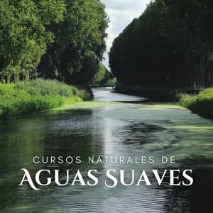 Cursos Naturales De Aguas Suaves - Sonido del Agua Ruido Blanco Natural