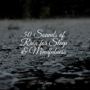 50 Sounds of Rain for Sleep & Mindfulness - Sonidos de lluvia para dormir