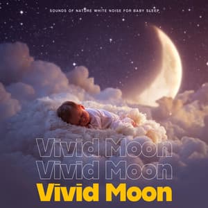 Vivid Moon - Sounds of Nature White Noise for Baby Sleep