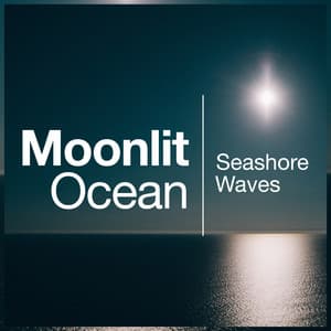 Moonlit Ocean - Seashore Waves