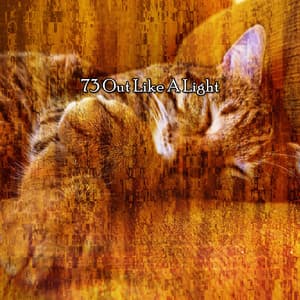 73 Out Like A Light - Best Relaxing Music