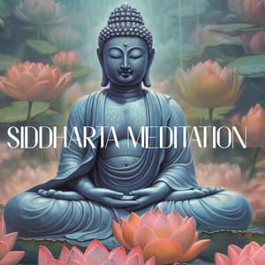 Siddharta Meditation: The Spirit Of Buddha In Music - Janav Das