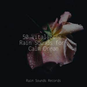 50 Vitalizing Rain Sounds for Calm Dream - Massage Therapy Music