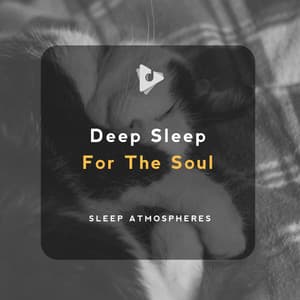 Deep Sleep For The Soul - Sleep Atmospheres