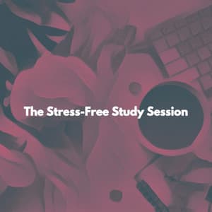 The Stress-Free Study Session - Dinner Music Chill