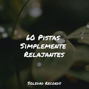 60 Pistas Simplemente Relajantes - Relajación