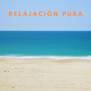 Euforia Costera: Sonidos Tranquilos Y Relajados Del Océano Para Una Relajación Pura - Relajacion Sonidos Del Mar y Oceano