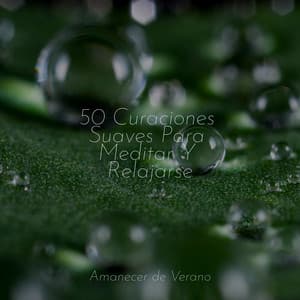 50 Curaciones Suaves Para Meditar Y Relajarse - Mantra para Dormir
