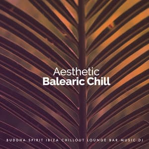 Aesthetic Balearic Chill - Buddha Spirit Ibiza Chillout Lounge Bar Music DJ
