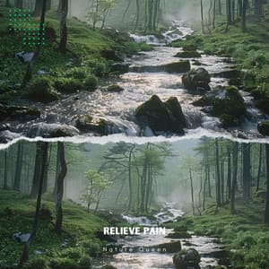 Relieve Pain - Nature Queen